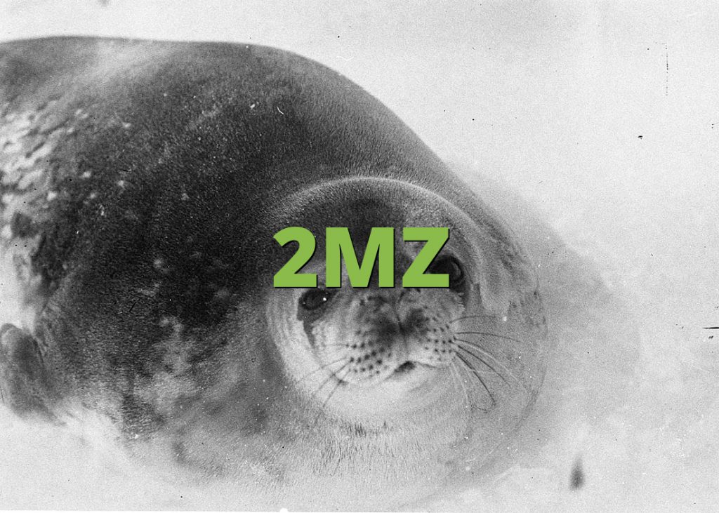 2MZ