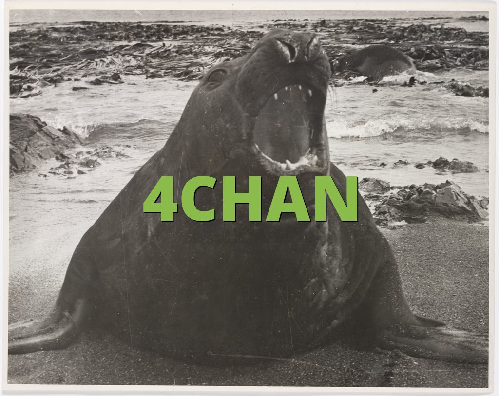 4CHAN