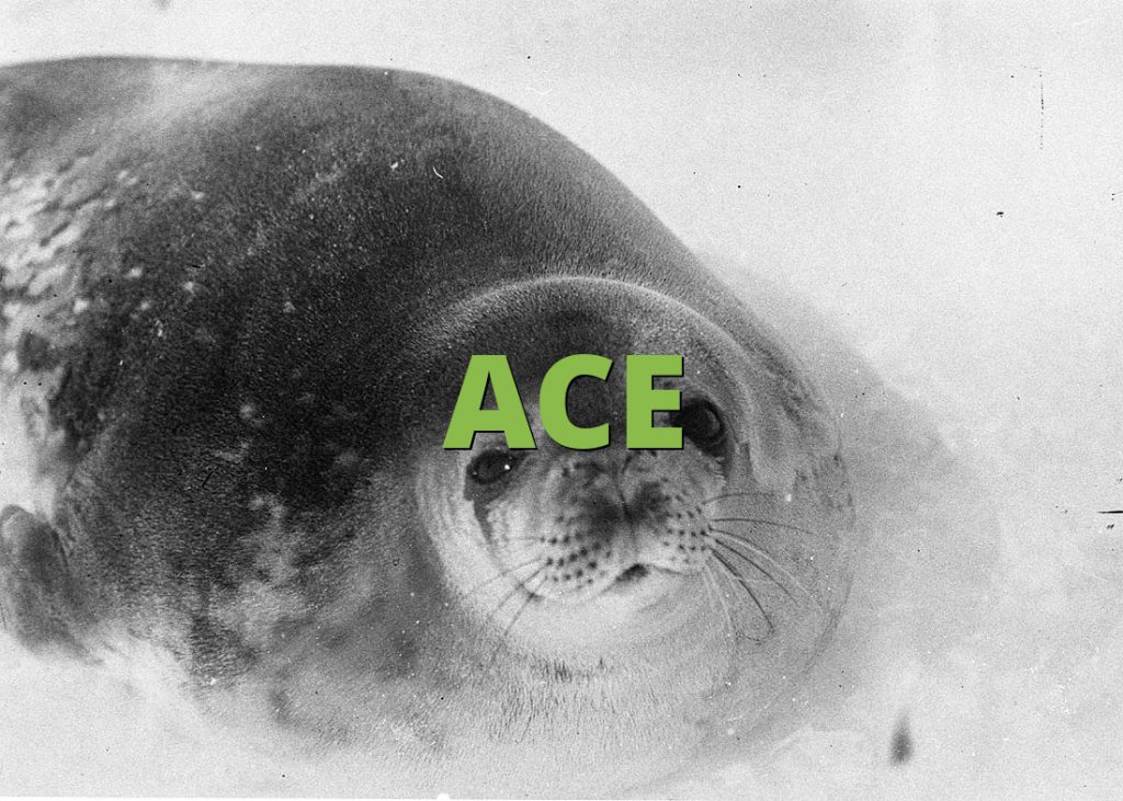 ACE