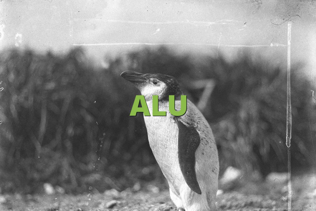 ALU