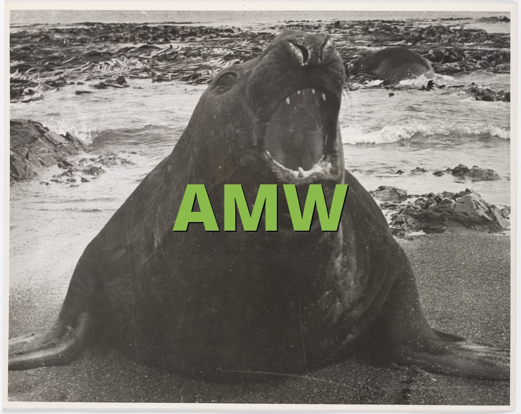 AMW