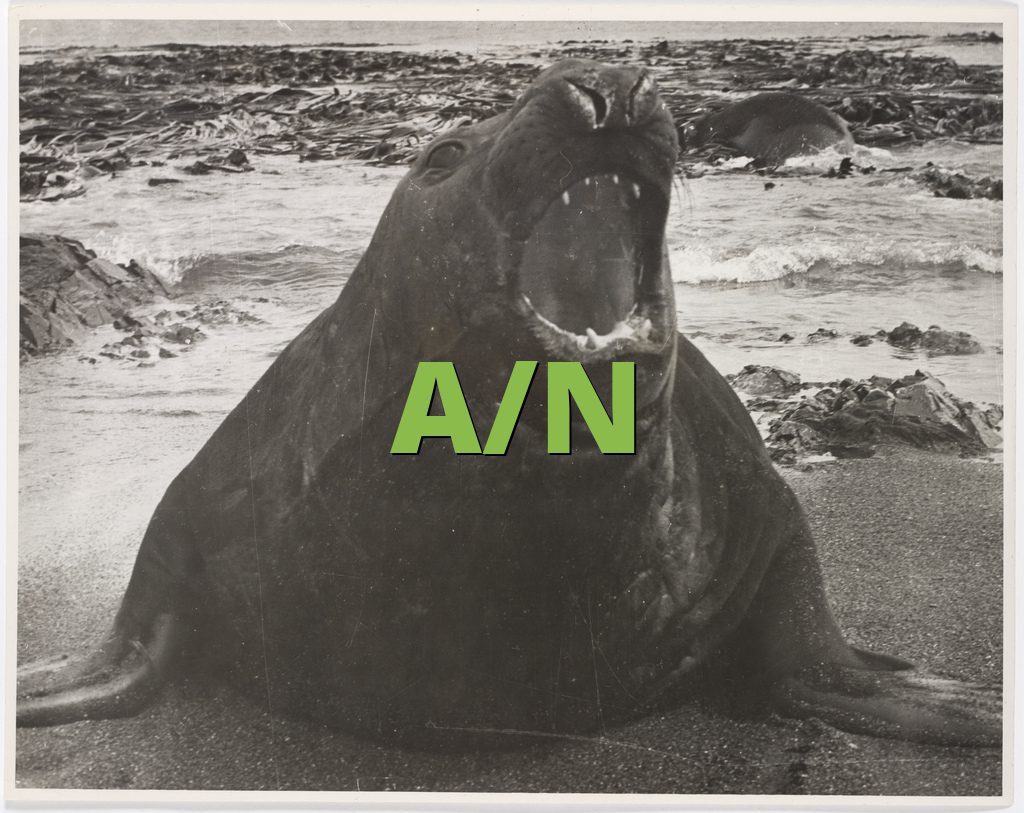 A/N