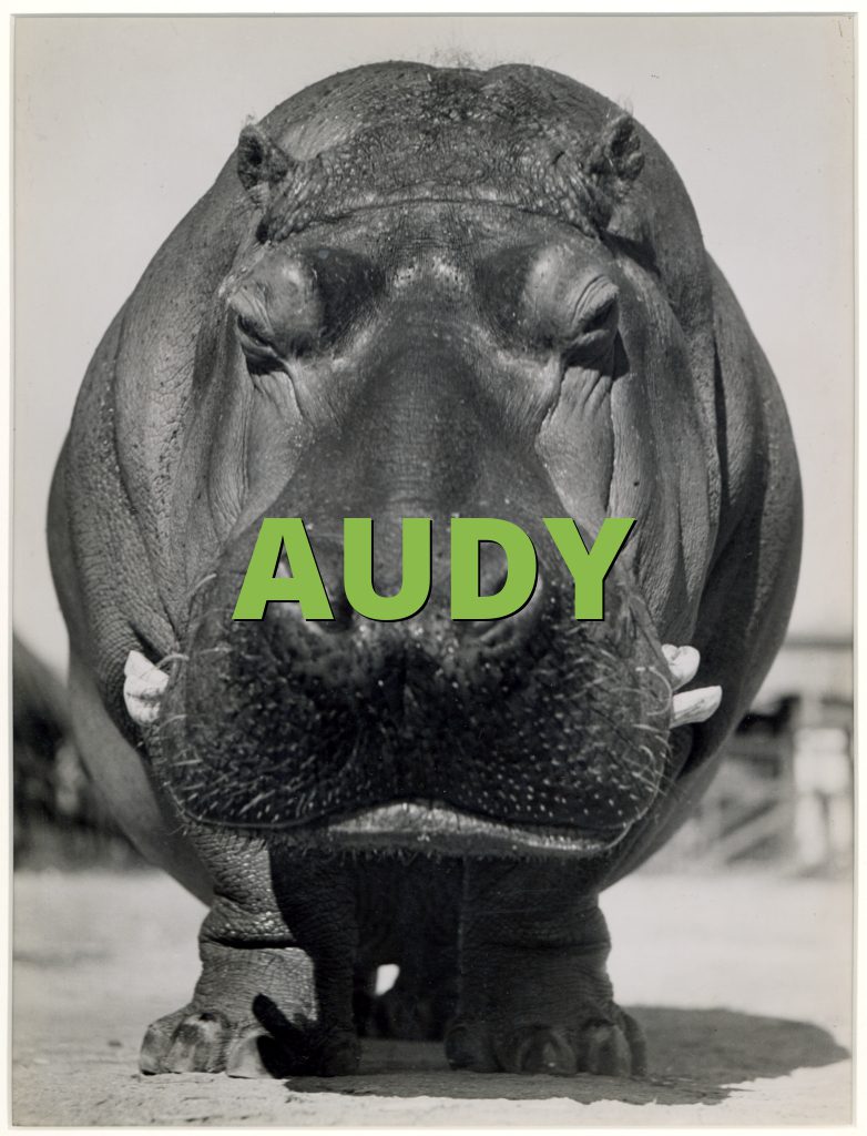 AUDY