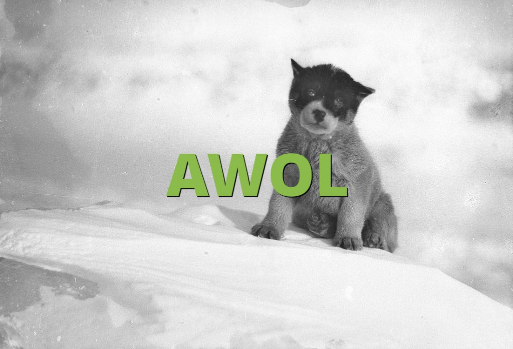 AWOL -Absent Without Leave-