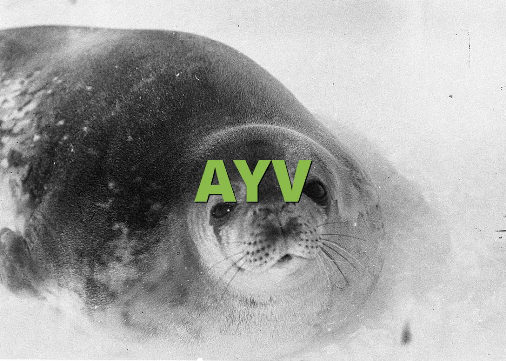 AYV