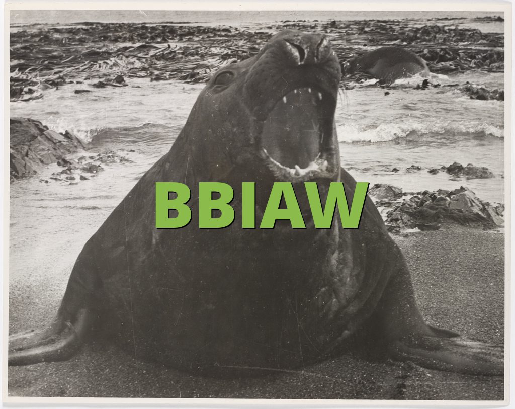 BBIAW