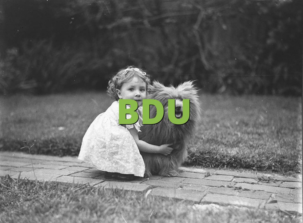 BDU