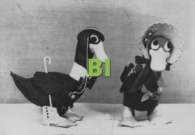 Bi What Does Bi Mean 