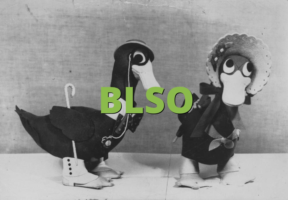 BLSO