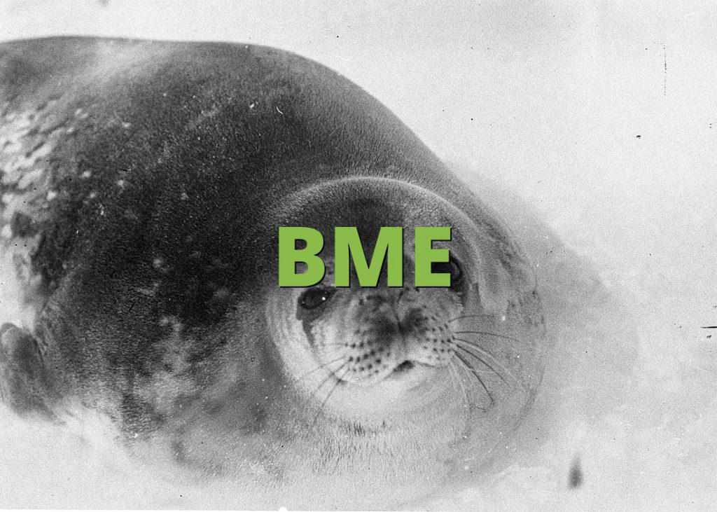 BME