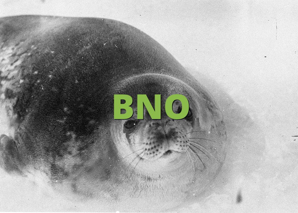 BNO