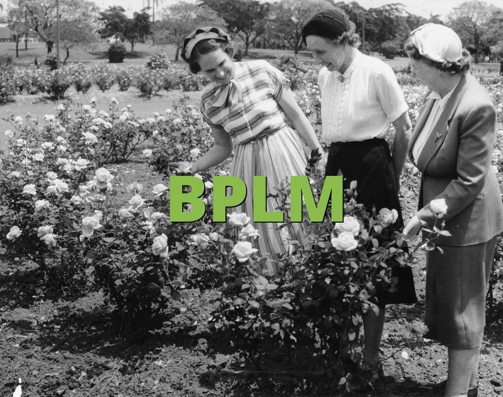 BPLM