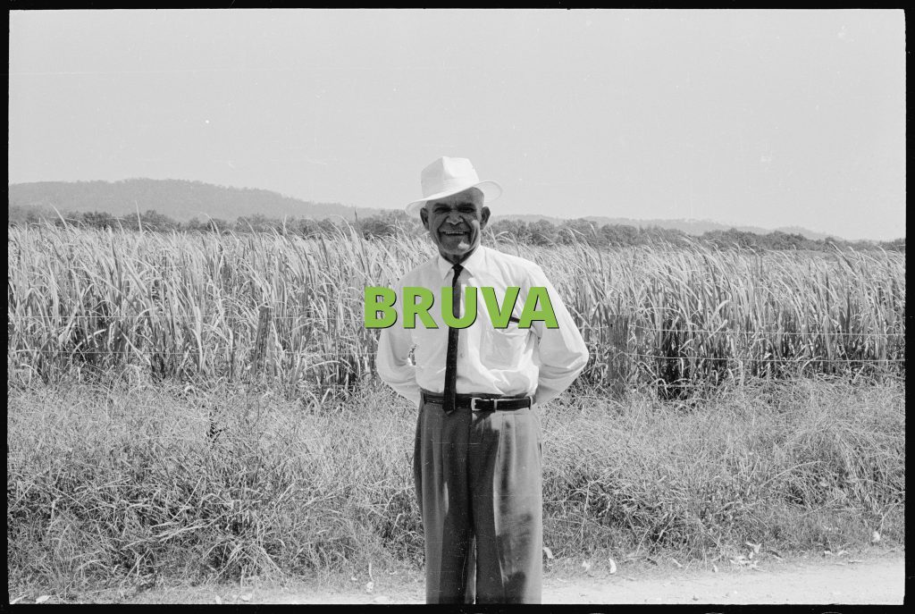 BRUVA