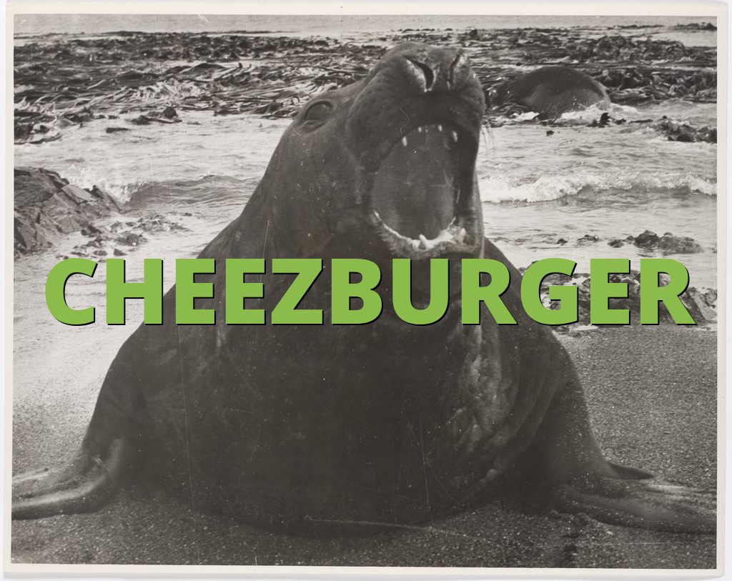 CHEEZBURGER