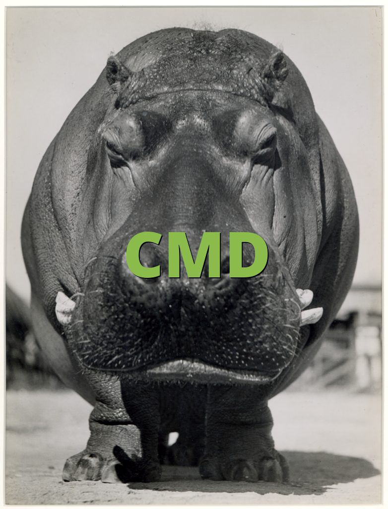 CMD