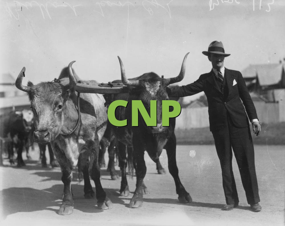 CNP