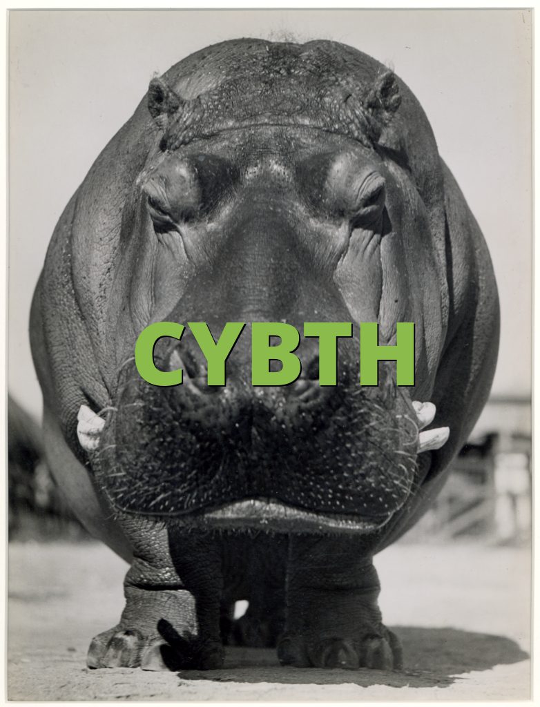 CYBTH