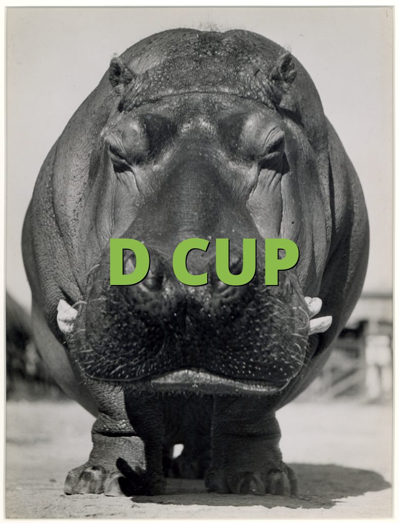 D CUP » What does D CUP mean? »