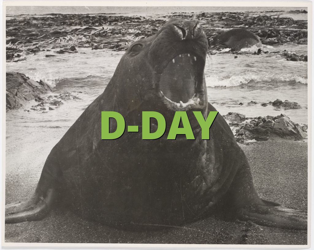 D-DAY