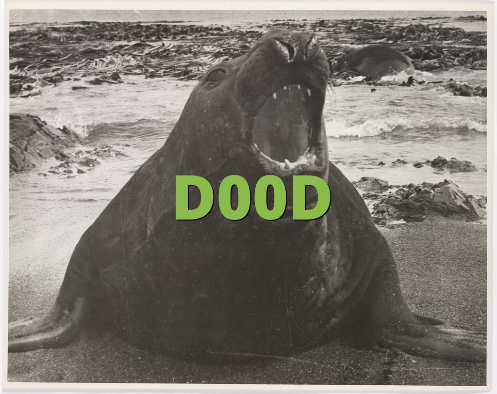 D00D