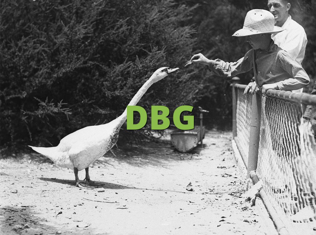 DBG