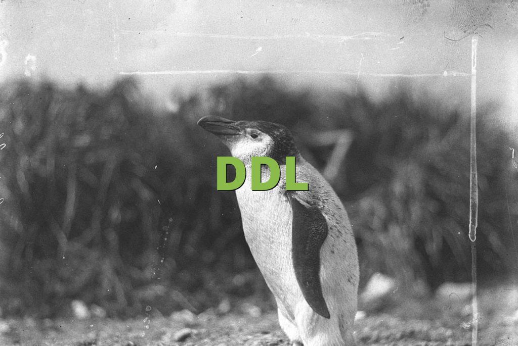 DDL