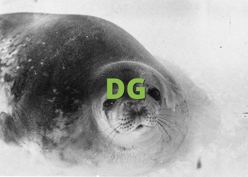 DG