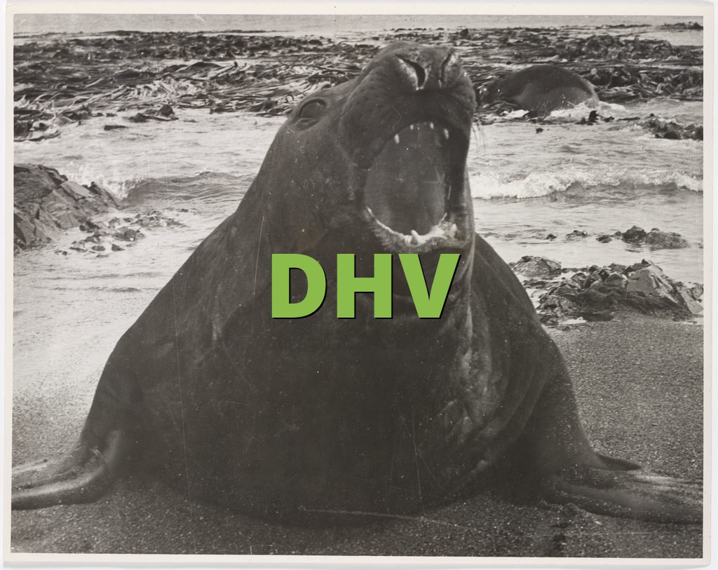 DHV