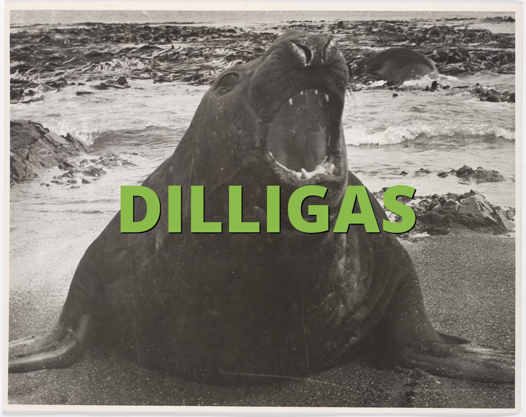 DILLIGAS