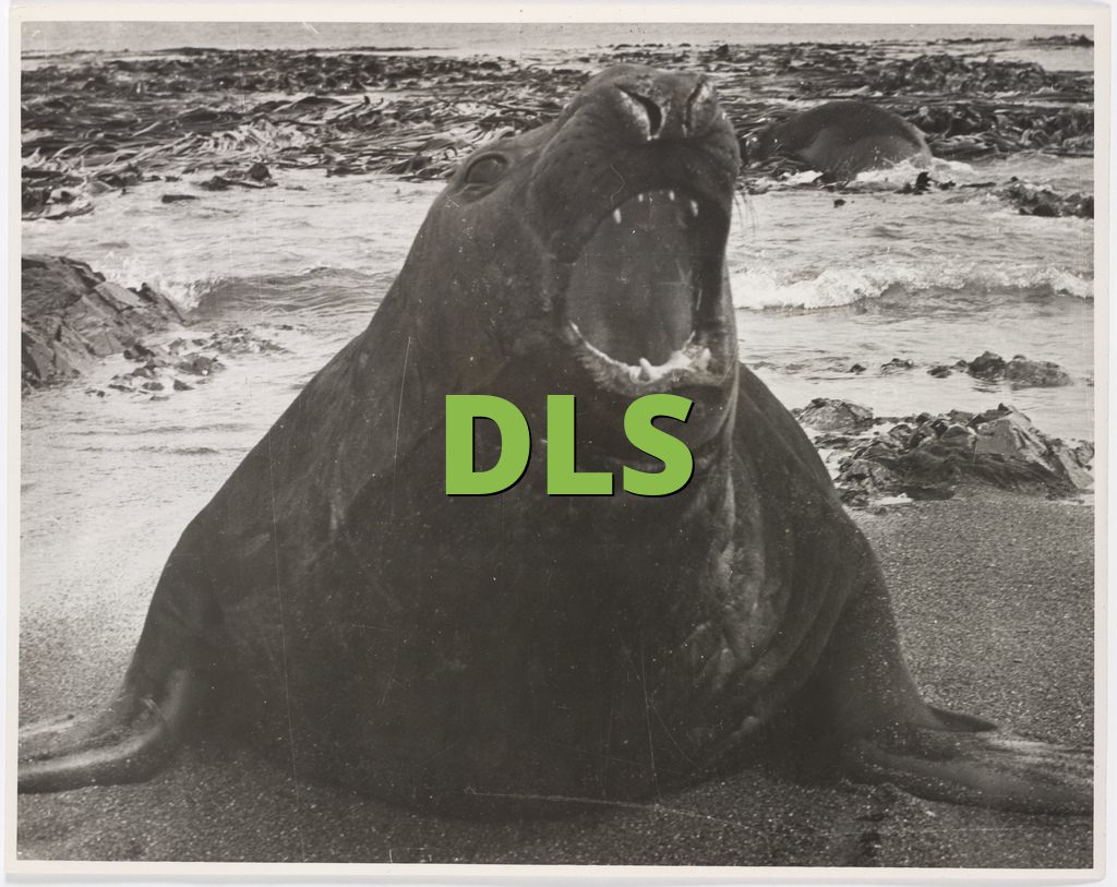 DLS