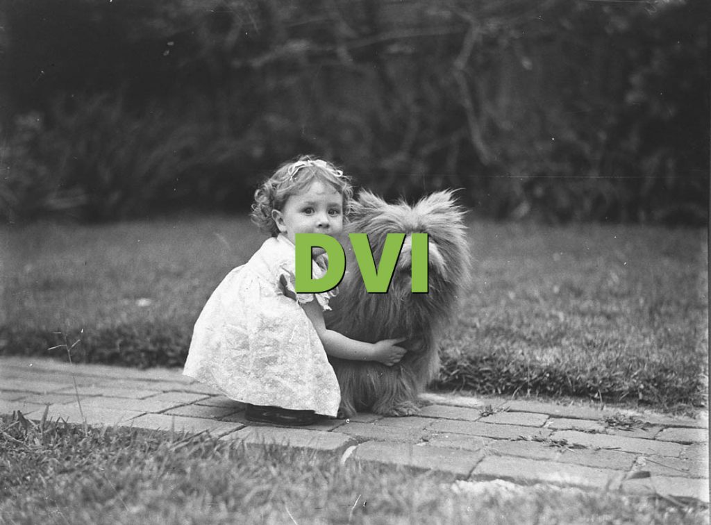 DVI