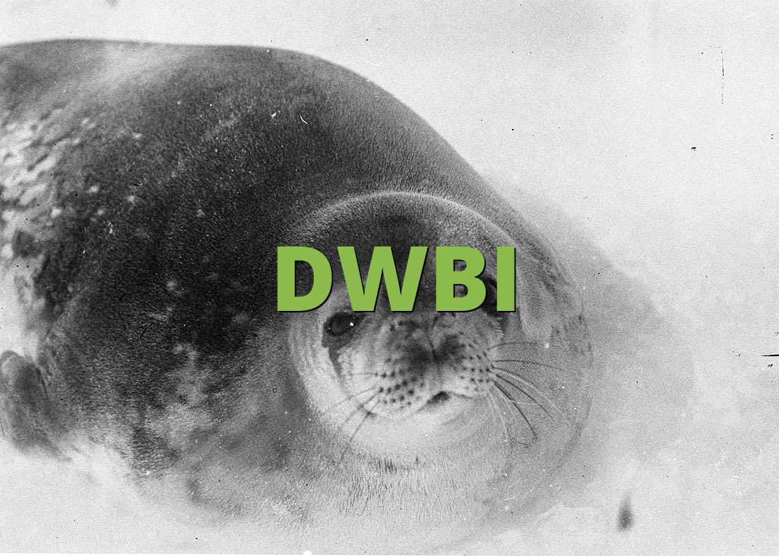 DWBI » What does DWBI mean? » Slang.org