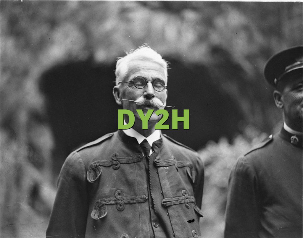 DY2H