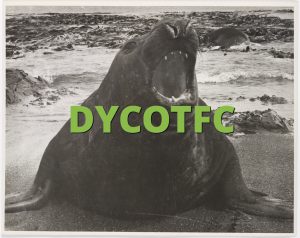 DYCOTFC