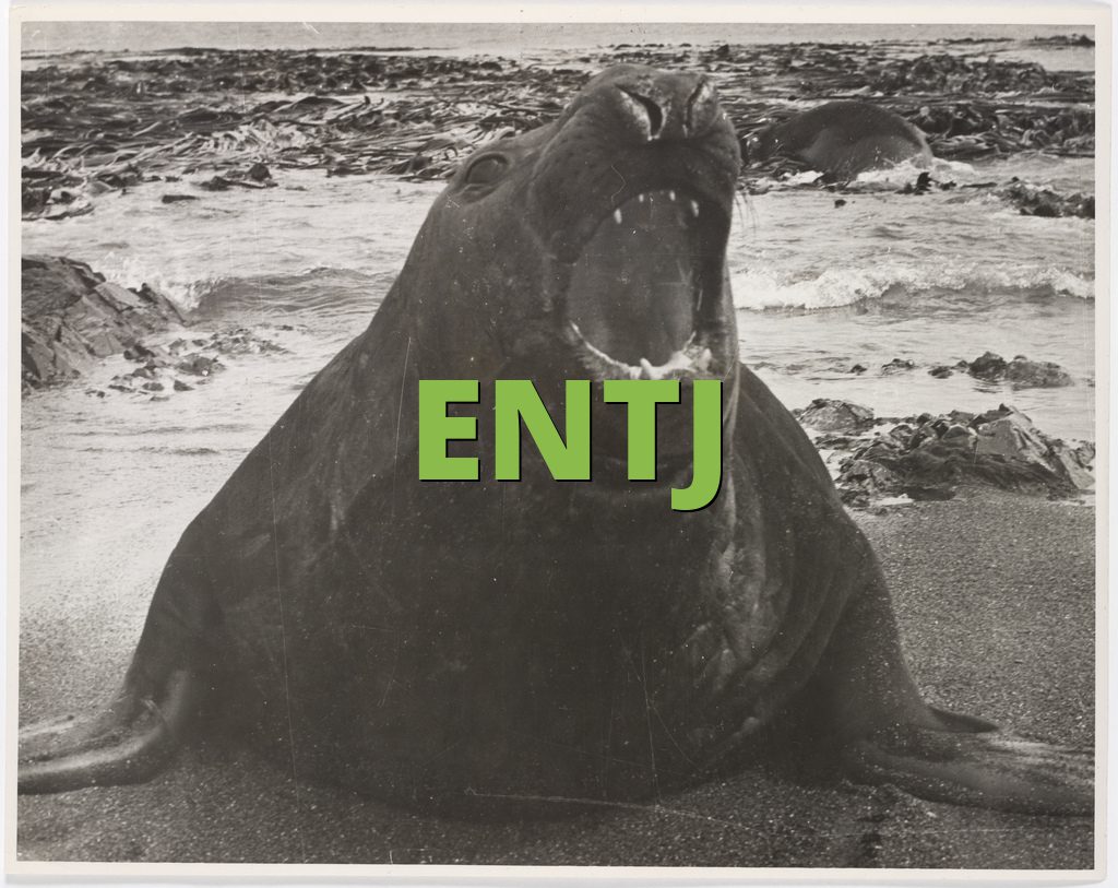 ENTJ