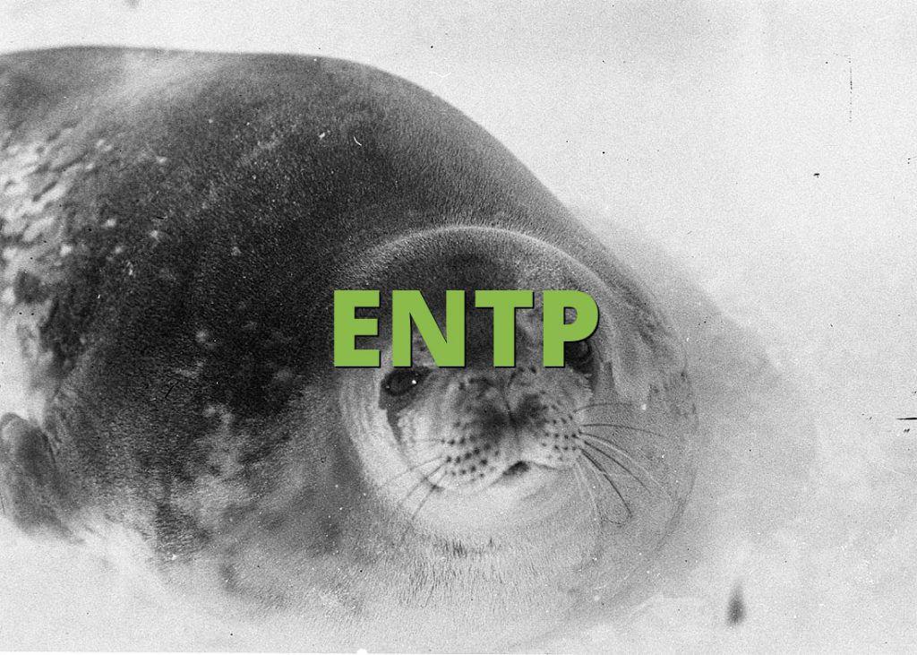 ENTP