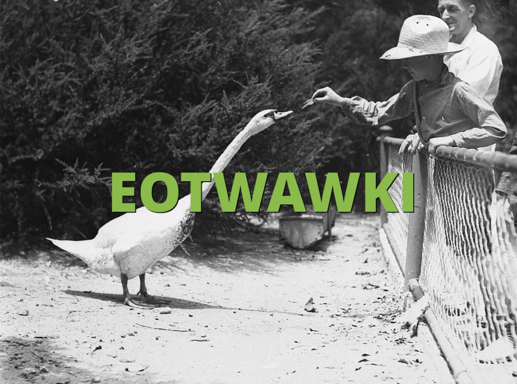 EOTWAWKI