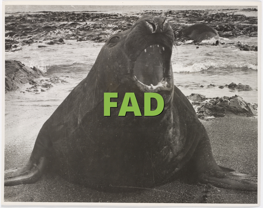 FAD » What does FAD mean? » Slang.org