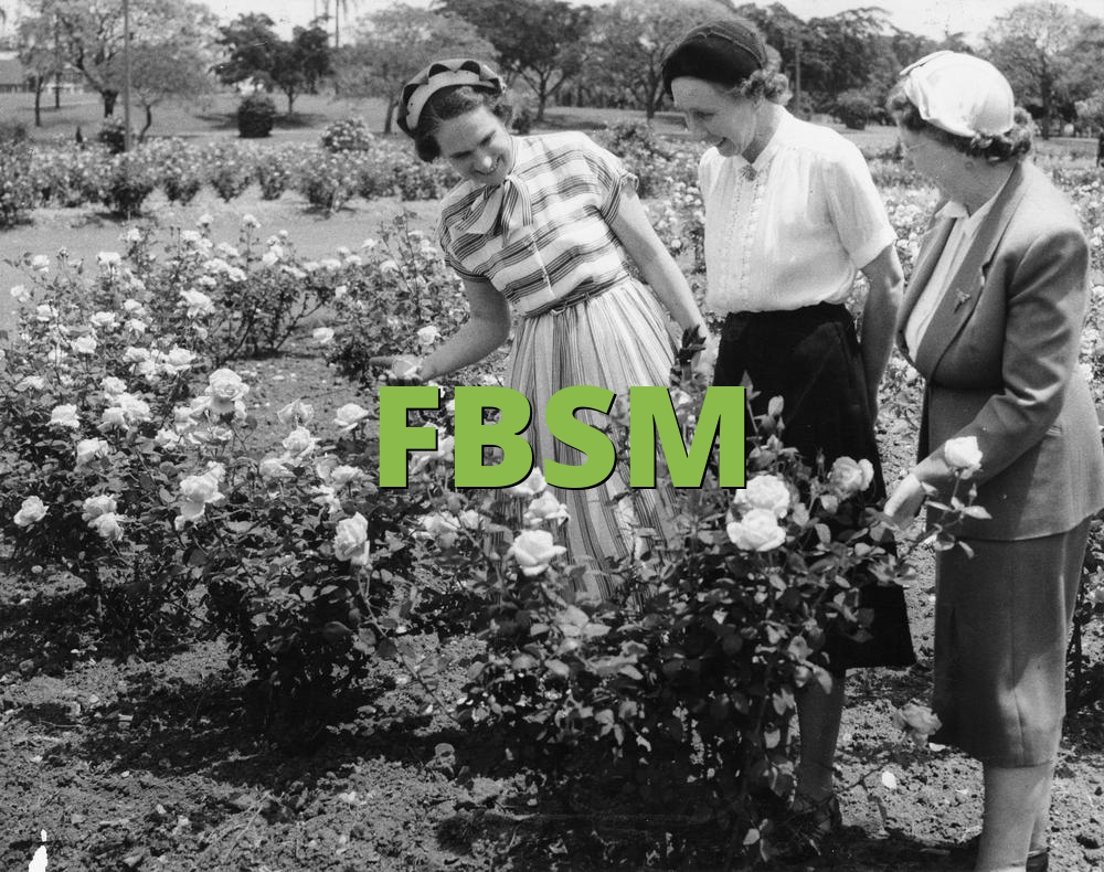 FBSM