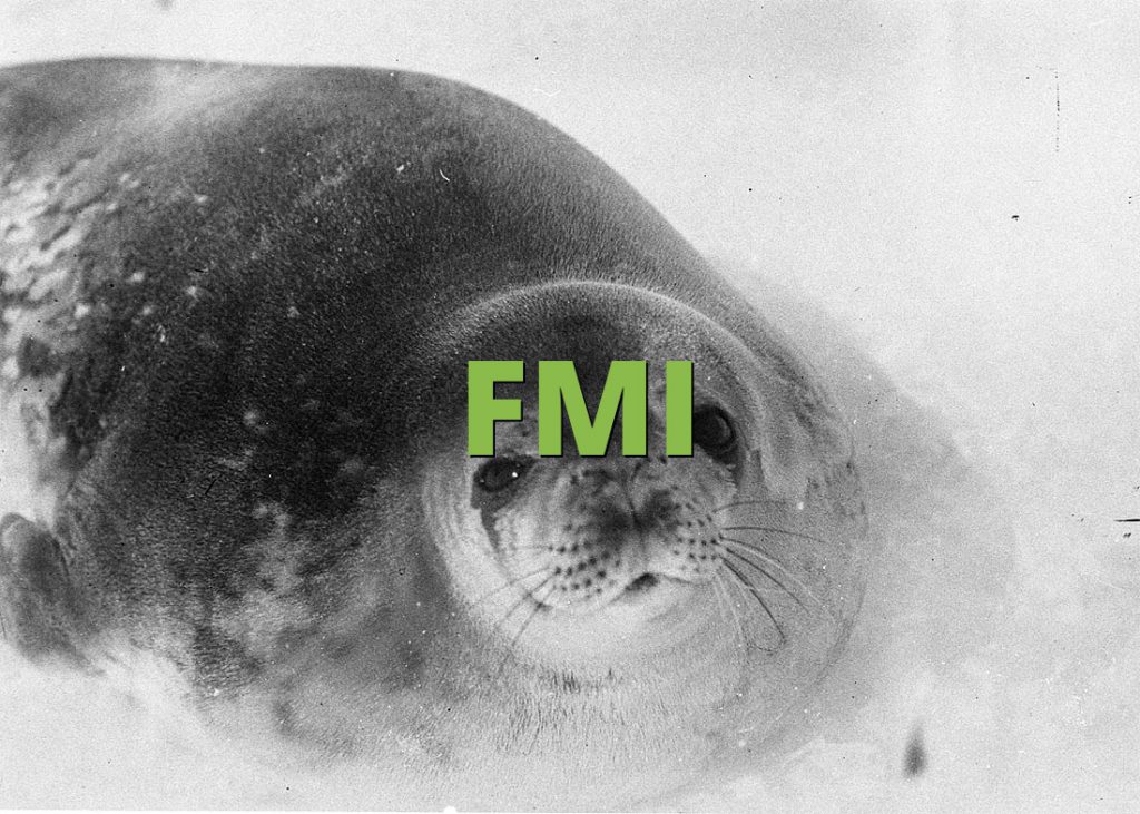 FMI