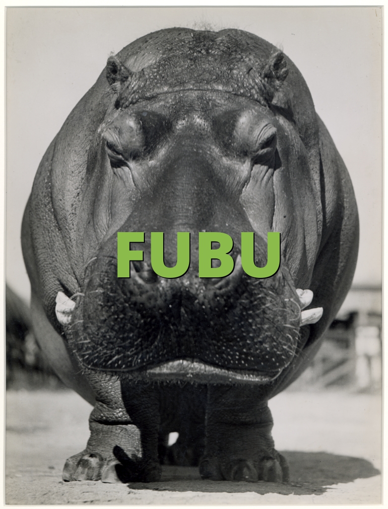 FUBU