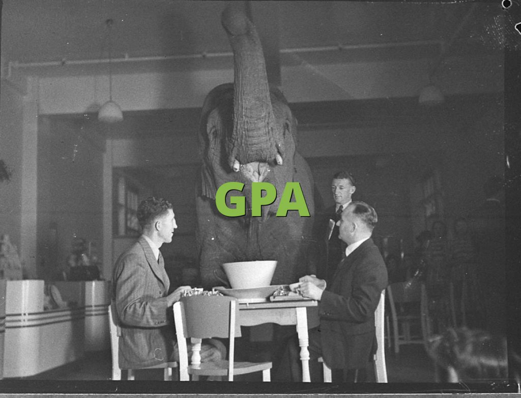 GPA