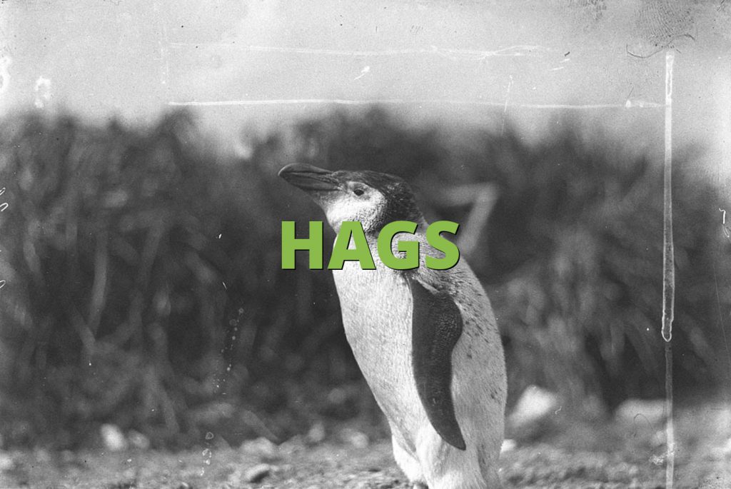 HAGS