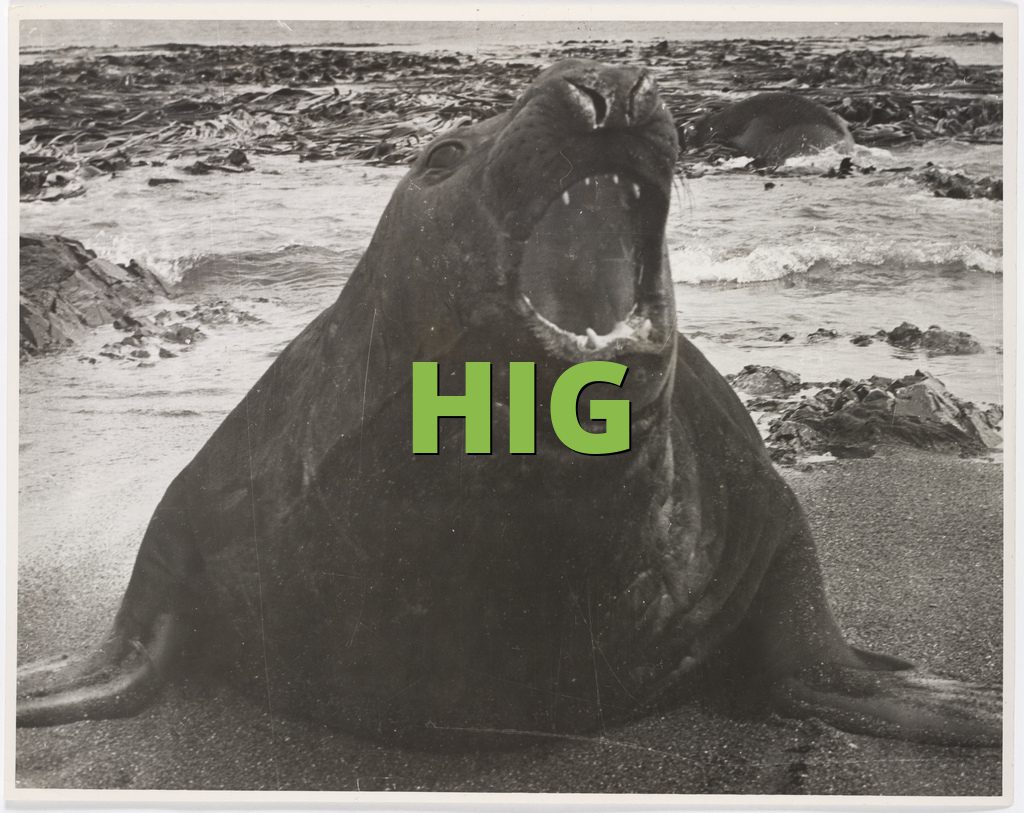 HIG