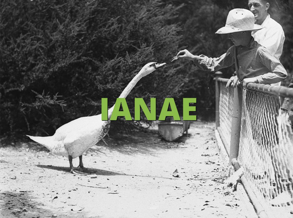 IANAE