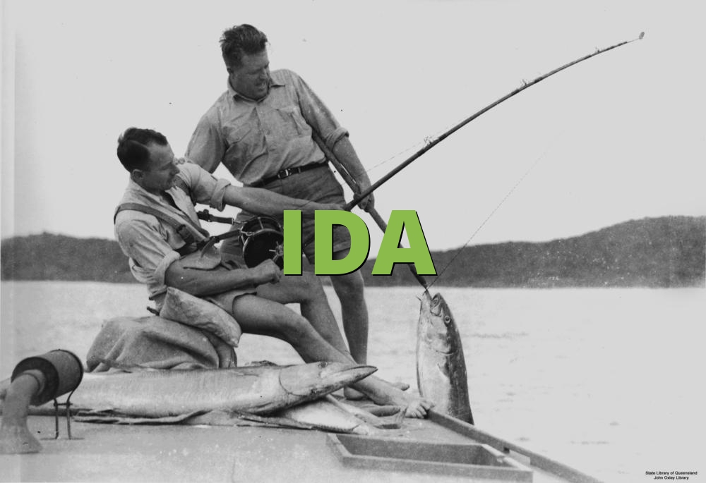 IDA