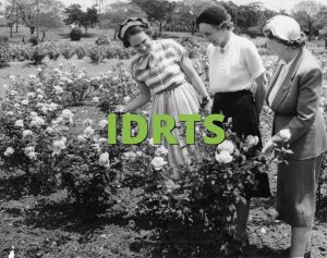 IDRTS