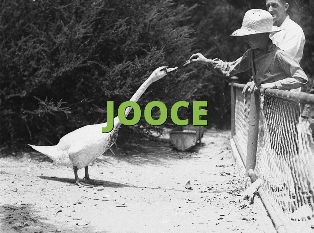 JOOCE