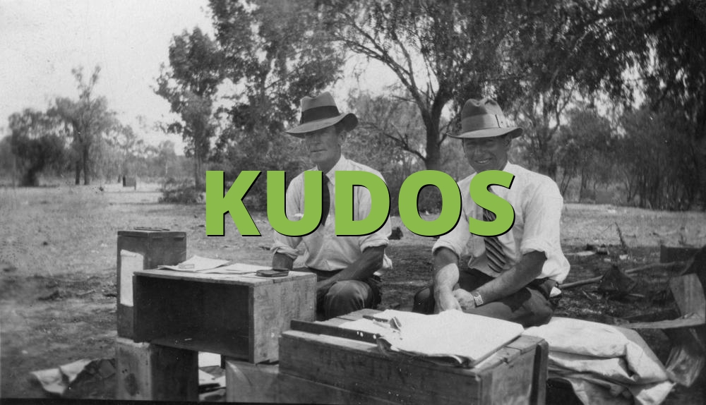 Meaning kudos What does