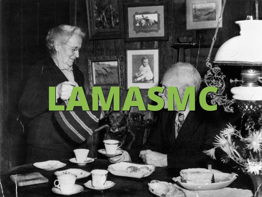 LAMASMC